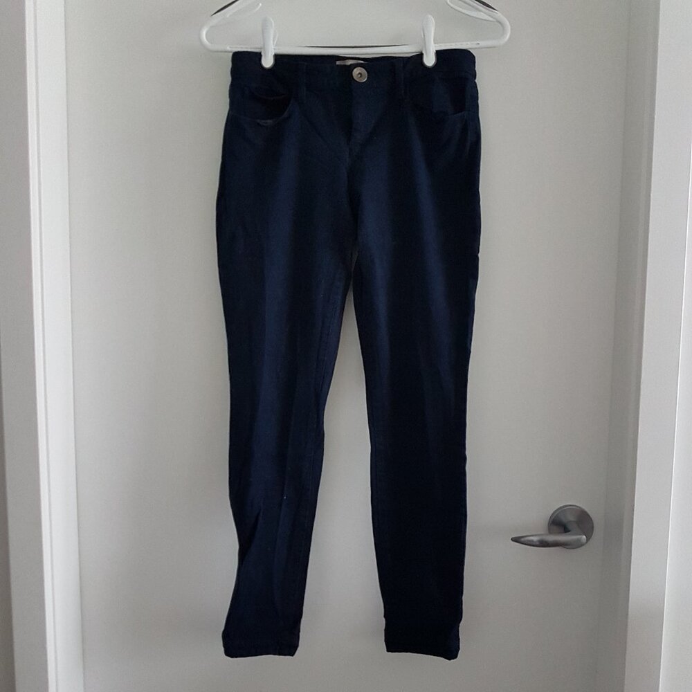 Banana Republic Navy Skinny Pants